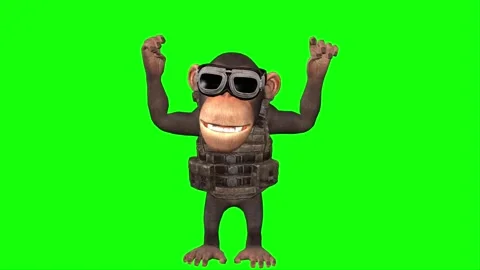 "Brown Monkey in PUBG Bulletproof Vest with Attitude - 4K Green Screen Animation Stock Footage 282542217