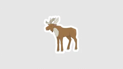Brown moose with large antlers digital sticker animation Stock Footage 332222871