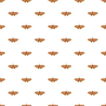Brown moth insect seamless pattern background repeating 스톡 일러스트