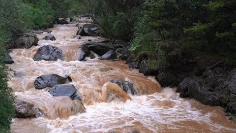 Brown mountain river in the rain, slow motion Video stock 94149762