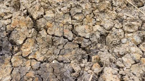 Brown mud Stock Photos