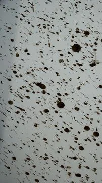 Brown Mud Splatter Grunge Texture Background on Light Surface Close Up Stock Photos