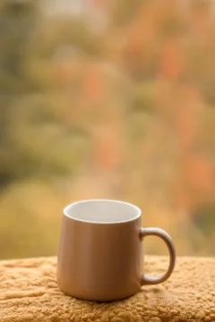 Brown mug by the window. Stock Photos