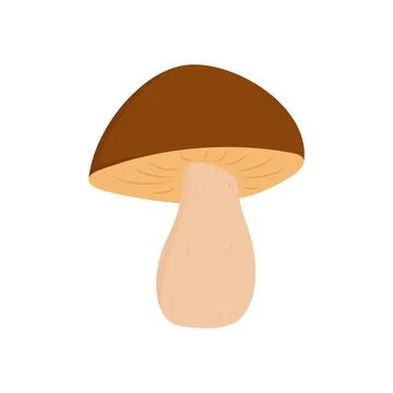 Brown Mushroom Vector Illustration Isolated on White Background: Porcini Fungus Illustrazione stock