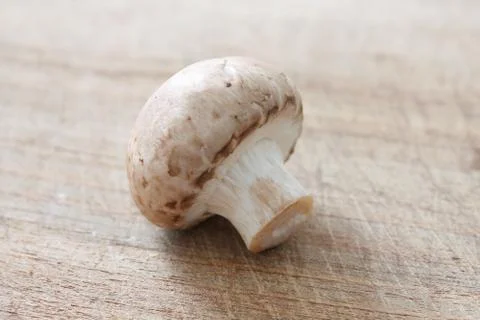 Brown mushrooms Stock Photos