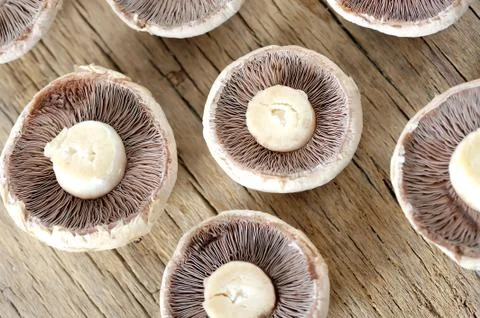 Brown mushrooms Stock Photos