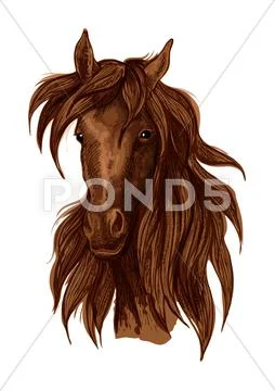 Brown mustang horse artistic portrait Stock Illustration