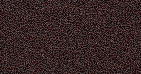 Brown mustard seeds background texture. Stock Footage 299932254
