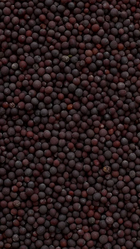 Brown mustard seeds background texture. Close-up. Vertical video. Stock Footage 303891327