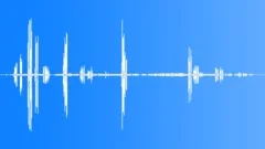 Brown Necked Raven CawsSound Effect