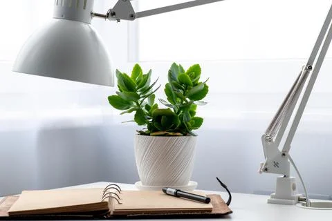 The brown notepad lies on the office table. Foto stock