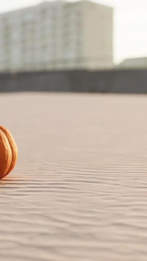 Brown object sits on sand under a building with soft light during sunset Stock Footage 338416662