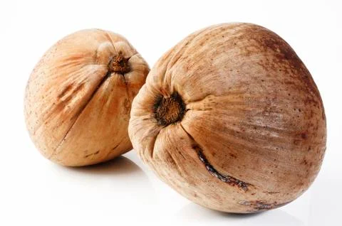 Brown old coconut Stock Photos