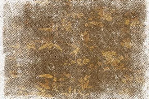 Brown old paper texture with leaf design and white texture Stock Illustration