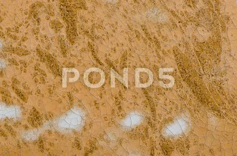 Brown old weathered leather Stock Photos