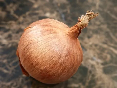 Brown Onion on Marbled Surface Stock Photos