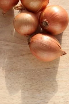 Brown Onions Stock Photos