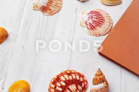 Brown open notepad surrounded by sea shells on white wooden table closeup Stock Photos