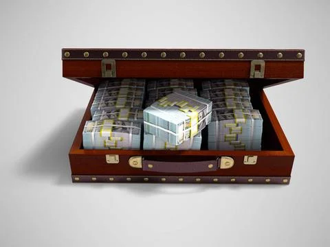 Brown open suitcase with tree with bundles of money front view 3d render o... Stock Photos