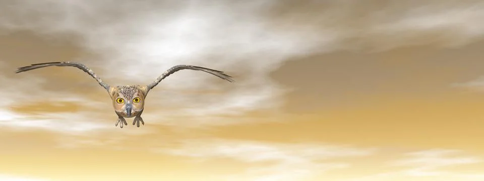 Brown owl - 3D render Stock Illustration