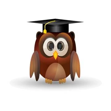 Brown owl graduation cap Stock Illustration