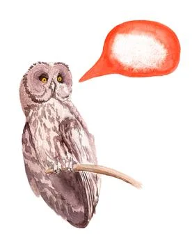 Brown owl Stock Illustration
