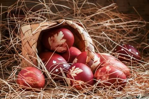 Brown painted Easter eggs with natural grass pattern spill out of a wicker ba Stock Photos