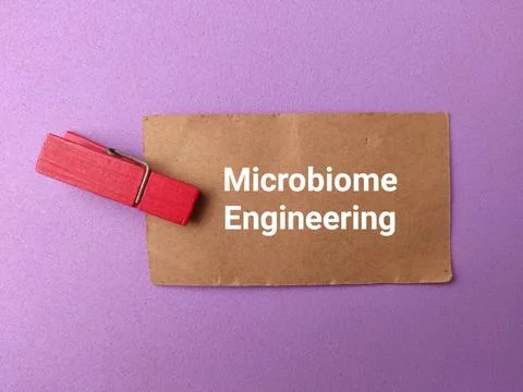 A brown paper note labeled Microbiome Engineering is clipped with a red woo.. Stock-Fotos