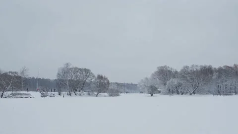 Brown park trees with hoarfrost on branches on snowy meadow Video stock 155794913
