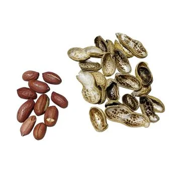 Brown Peanuts and Shells on White Background Fotos Stock