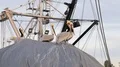 Brown Pelicans Atop Fishing Nets 4k or 4k+ Resolution