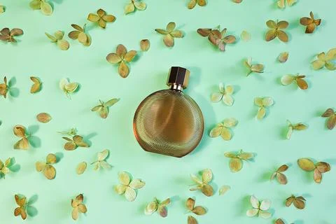 Brown perfume bottle, dried hydrangea flowers on green background, flat lay 写真素材