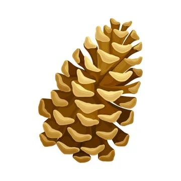 Brown Pine Cone with Spirally Arranged Scales Vector Illustration Illustrazione stock