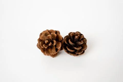 Brown Pine Cones on Minimal Background Stock Photos
