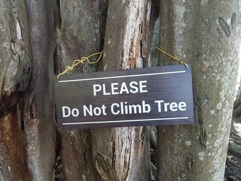Brown please do not climb tree sign on trunk Stock Photos