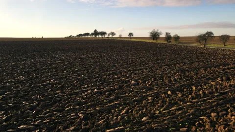 Brown plowed earth of agricultural field on sunny day in aerial view Stock Footage 166345546