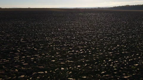 Brown plowed earth of agricultural field on sunny day in aerial view Stock Footage 166350327