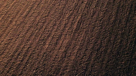 Brown plowed earth of agricultural field on sunny day in aerial view Stock Footage 166364897