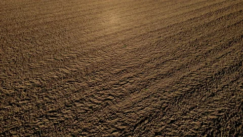 Brown plowed earth of agricultural field on sunny day in aerial view Stock Footage 166370384