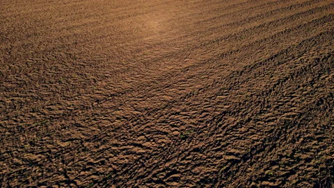 Brown plowed earth of agricultural field on sunny day in aerial view Stock Footage 166370981