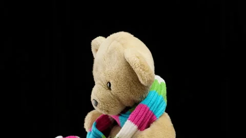Brown Plush Bear knitted colored scarf rotates on a black background Stock Footage 147550376