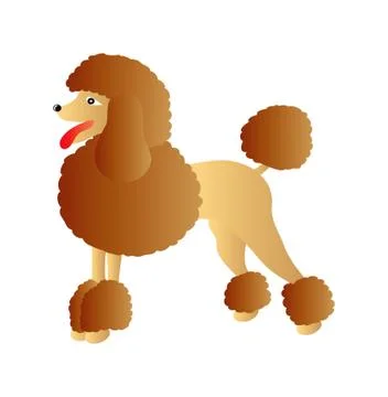 Brown poodle Stock Illustration