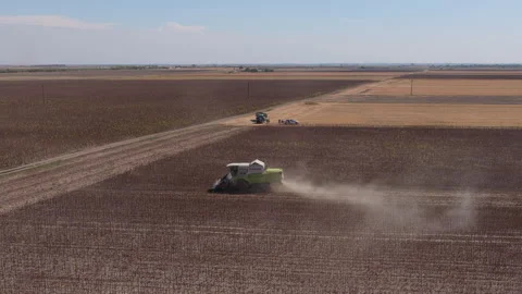 Brown post-harvest plot, single combine and country road, Long Aerial View Vídeos de archivo 346339858