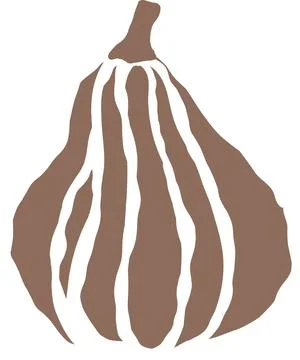A brown pumpkin with distinctive stripes resting on a white surface in natural Stock Illustration