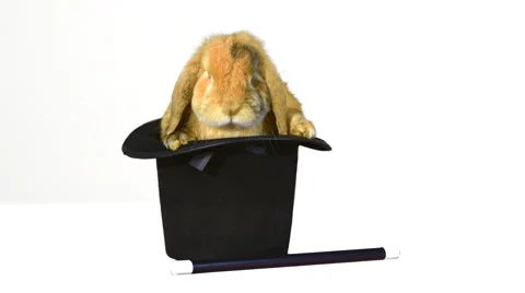 Brown rabbit inside a top hat, and a magic wand on white background 4K 動画素材 46510225