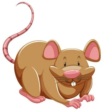 Brown rat Stock Illustration