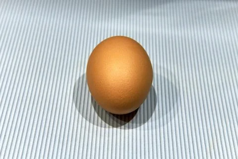 A brown raw egg lying on a light striped table with three shadows. Stock Photos