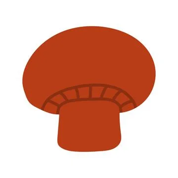 Brown red champignon mushroom vector illustration isolated on white. Ideal for Illustrazione stock