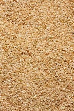 Brown rice background Stock Photos