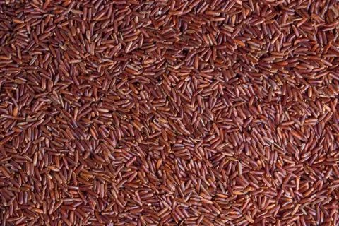 Brown rice full screen.  Stock Photos